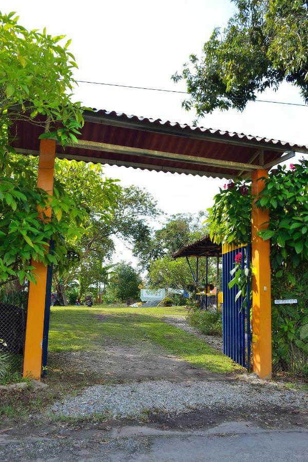 Casa Finca Villa Luz A 800 Mts Del Parque Del Cafe Монтенегро Екстериор снимка